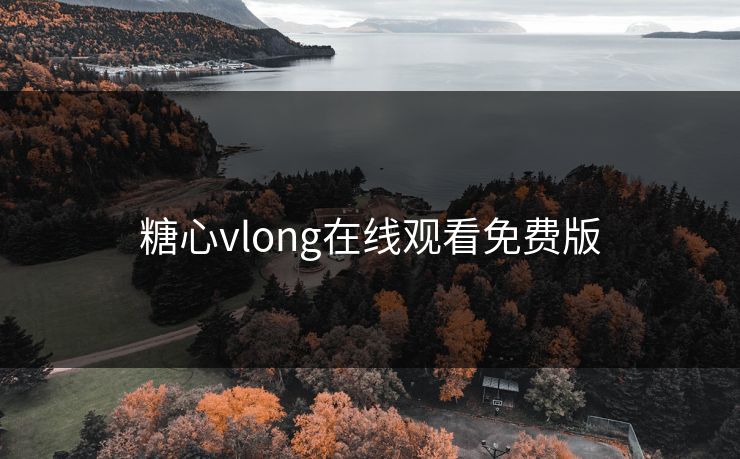 糖心vlong在线观看免费版